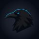 Corvus — Polymarket Ranked Wallets · Free
