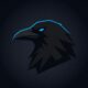 Corvus — Billeteras top de Polymarket · Gratis