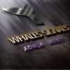 Whales Signals