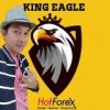 King Eagle | Stable Trade | Hot Forex - Telegram Channel
