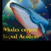 Whales crypto Signal Academy