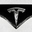 Tesla Motors Fans