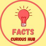 Facts – Curious Hub
