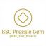 BSC Coin Presale