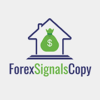 Best Forex Signals - Telegram Channel