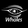 WHALES ROOM - Telegram Channel