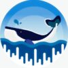 Fish The Whales - Telegram Channel
