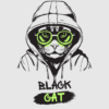 Black Cat | Cracked PC Software - Telegram Channel