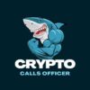 CRYPTO CALLS 💎🚀 - Telegram Channel
