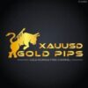 XAUUSD (GOLD) PIPS FREE SIGNALS - Telegram Channel