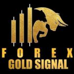FOREX GOLD SIGNALS - Telegram Channel