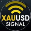 XAUUSD GOLD FREE SIGNALS - Telegram Channel