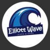 Elliott Wave Learn & Earn