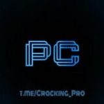 Pro Cracking - Telegram Channel
