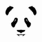 Panda Bull - Telegram Channel