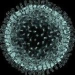 CoronaVirus Updates 🚨 - Telegram Channel