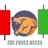 THE FOREX GEEKS